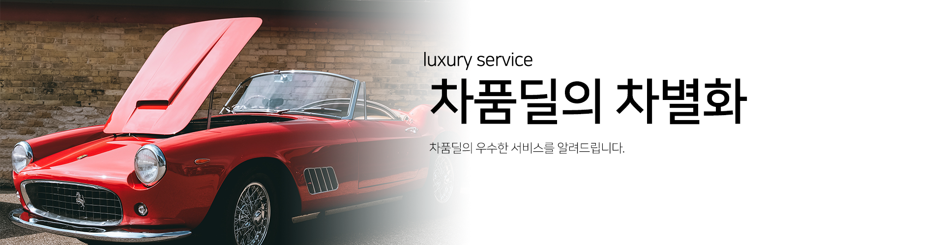 차품딜 소개